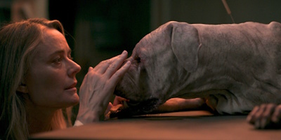 Im Keller von Dr. Toupin gehen merkwürdige Dinge vor sich (© Reason8, 2026)